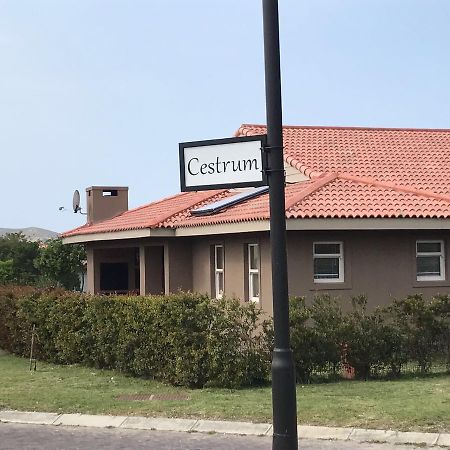 Whale Rock Gardens Apartment Plettenberg Bay Ngoại thất bức ảnh